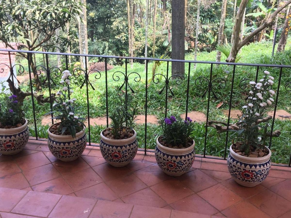Tea Terrace Vythiri Hotell Wayanad Eksteriør bilde