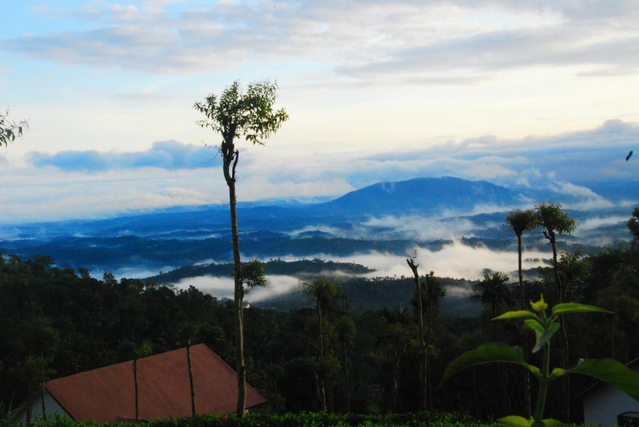 Tea Terrace Vythiri Hotell Wayanad Eksteriør bilde