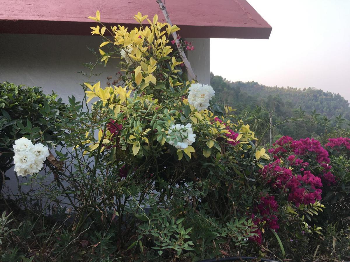 Tea Terrace Vythiri Hotell Wayanad Eksteriør bilde