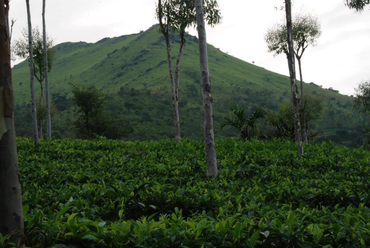 Tea Terrace Vythiri Hotell Wayanad Eksteriør bilde