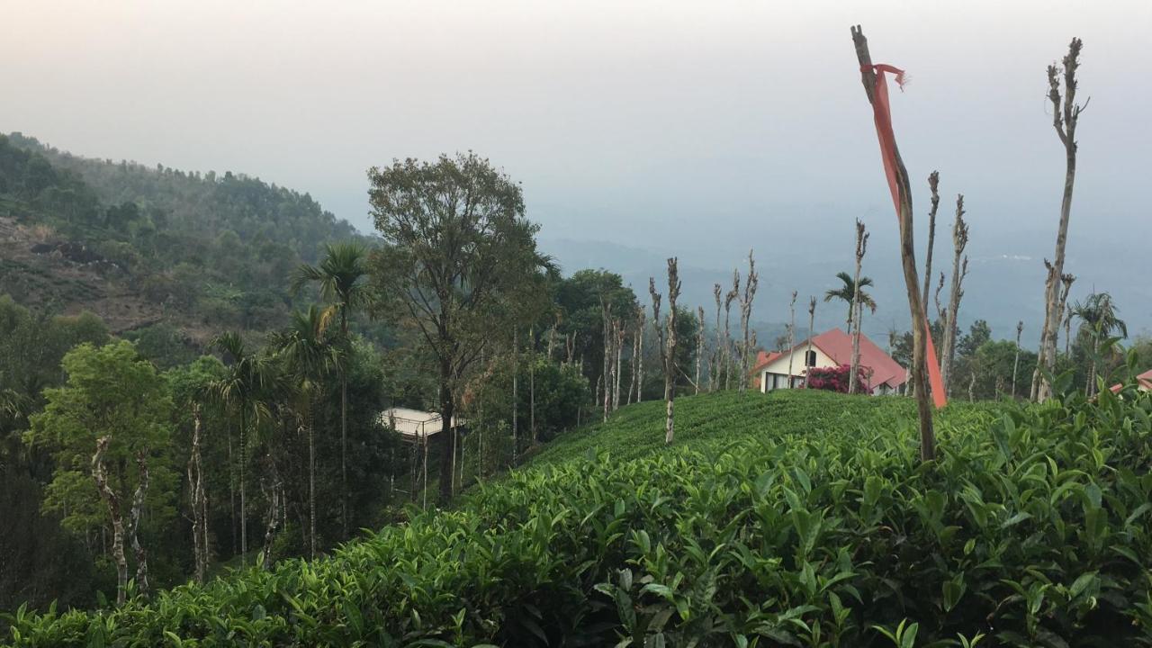 Tea Terrace Vythiri Hotell Wayanad Eksteriør bilde