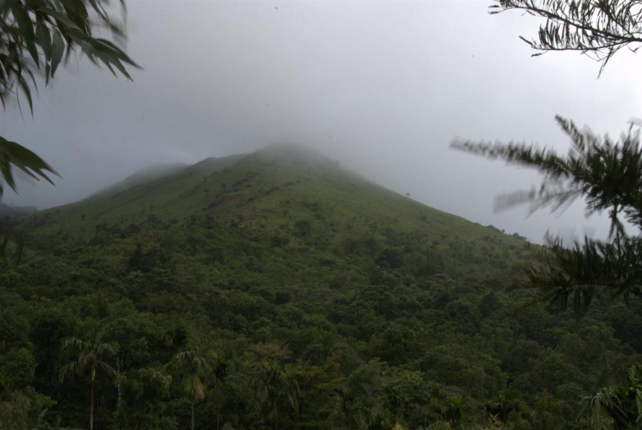 Tea Terrace Vythiri Hotell Wayanad Eksteriør bilde