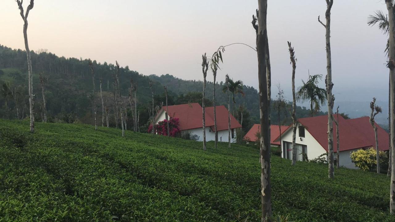 Tea Terrace Vythiri Hotell Wayanad Eksteriør bilde