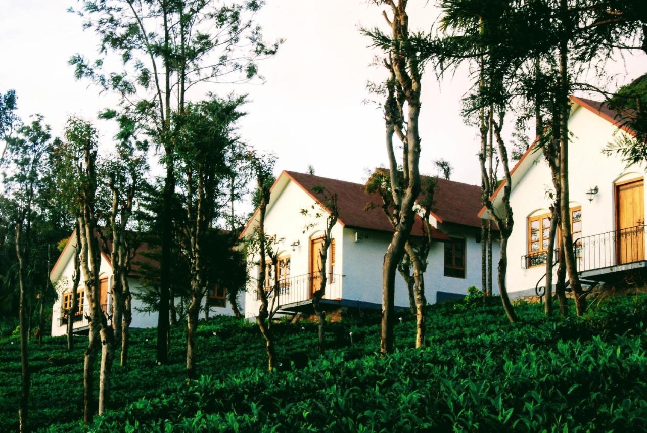Tea Terrace Vythiri Hotell Wayanad Eksteriør bilde