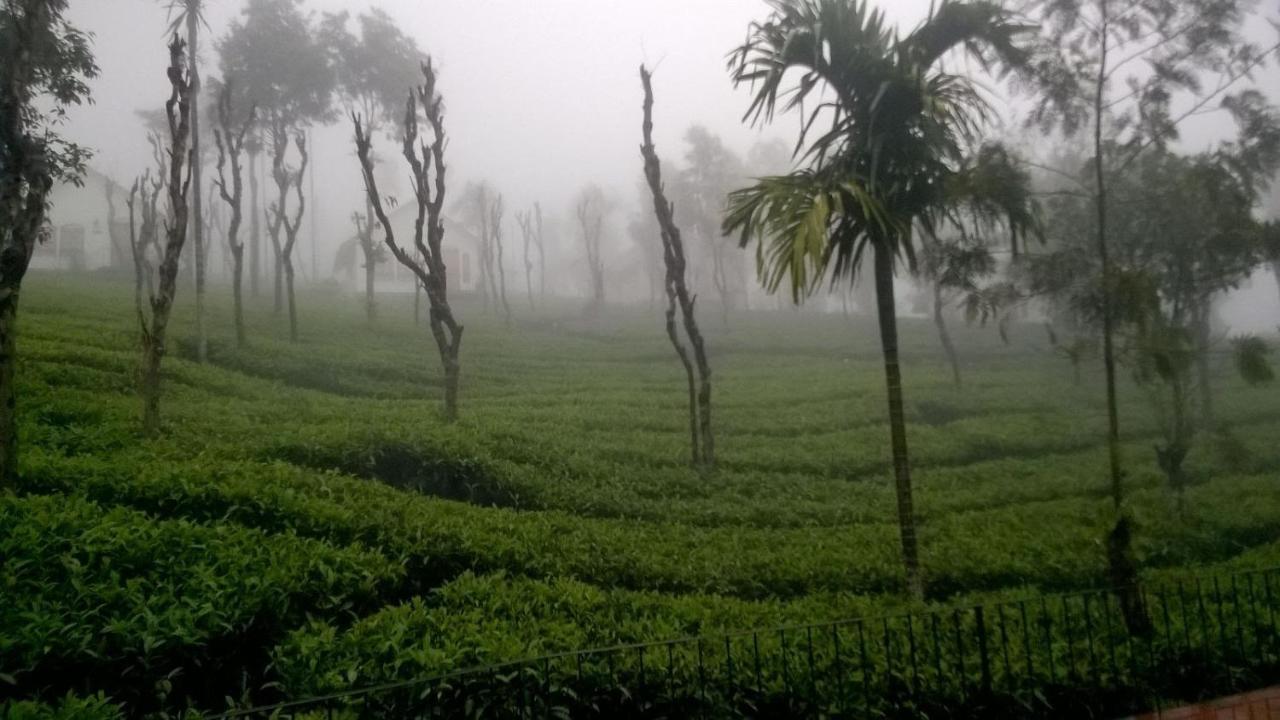 Tea Terrace Vythiri Hotell Wayanad Eksteriør bilde