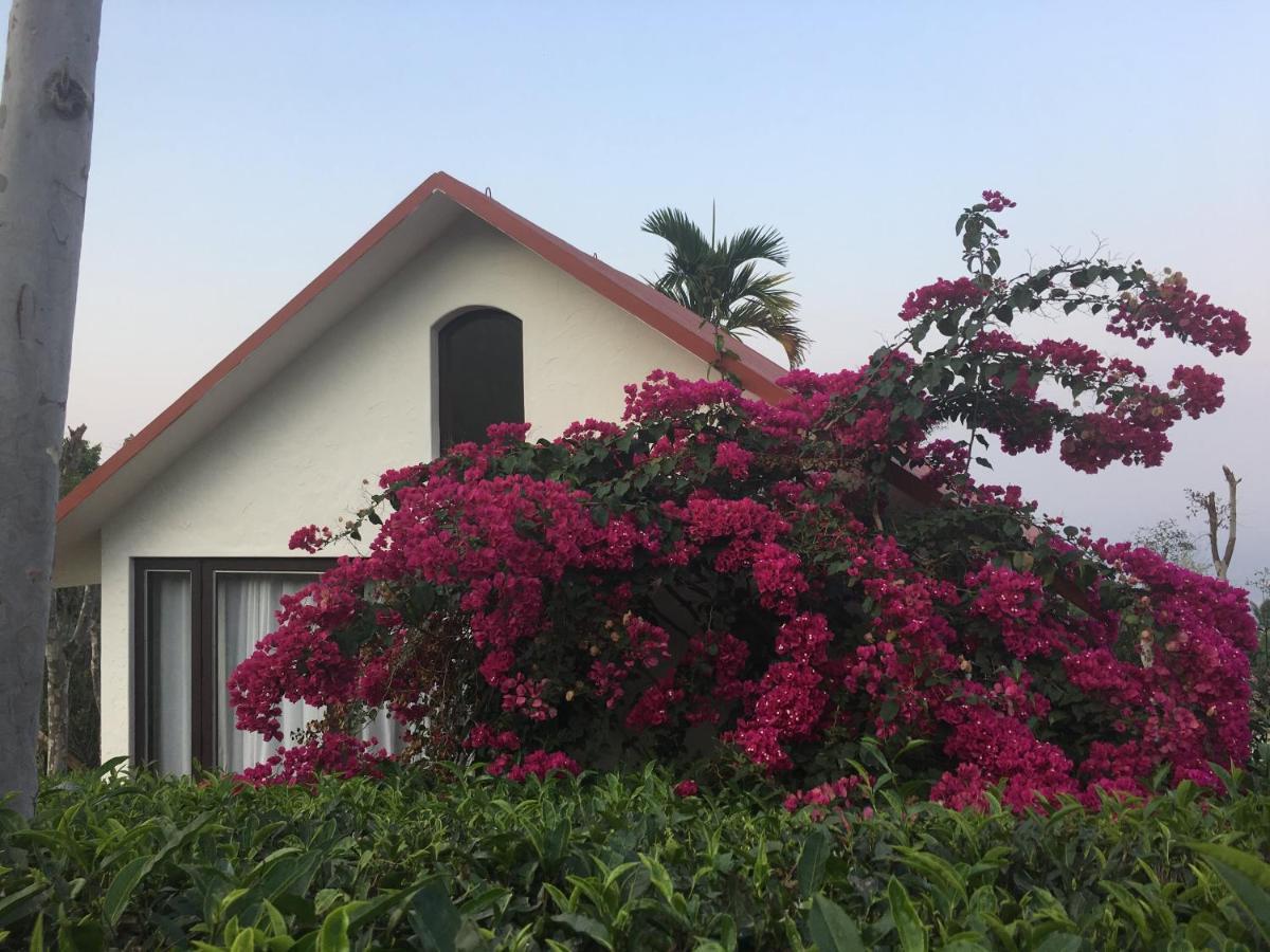 Tea Terrace Vythiri Hotell Wayanad Eksteriør bilde