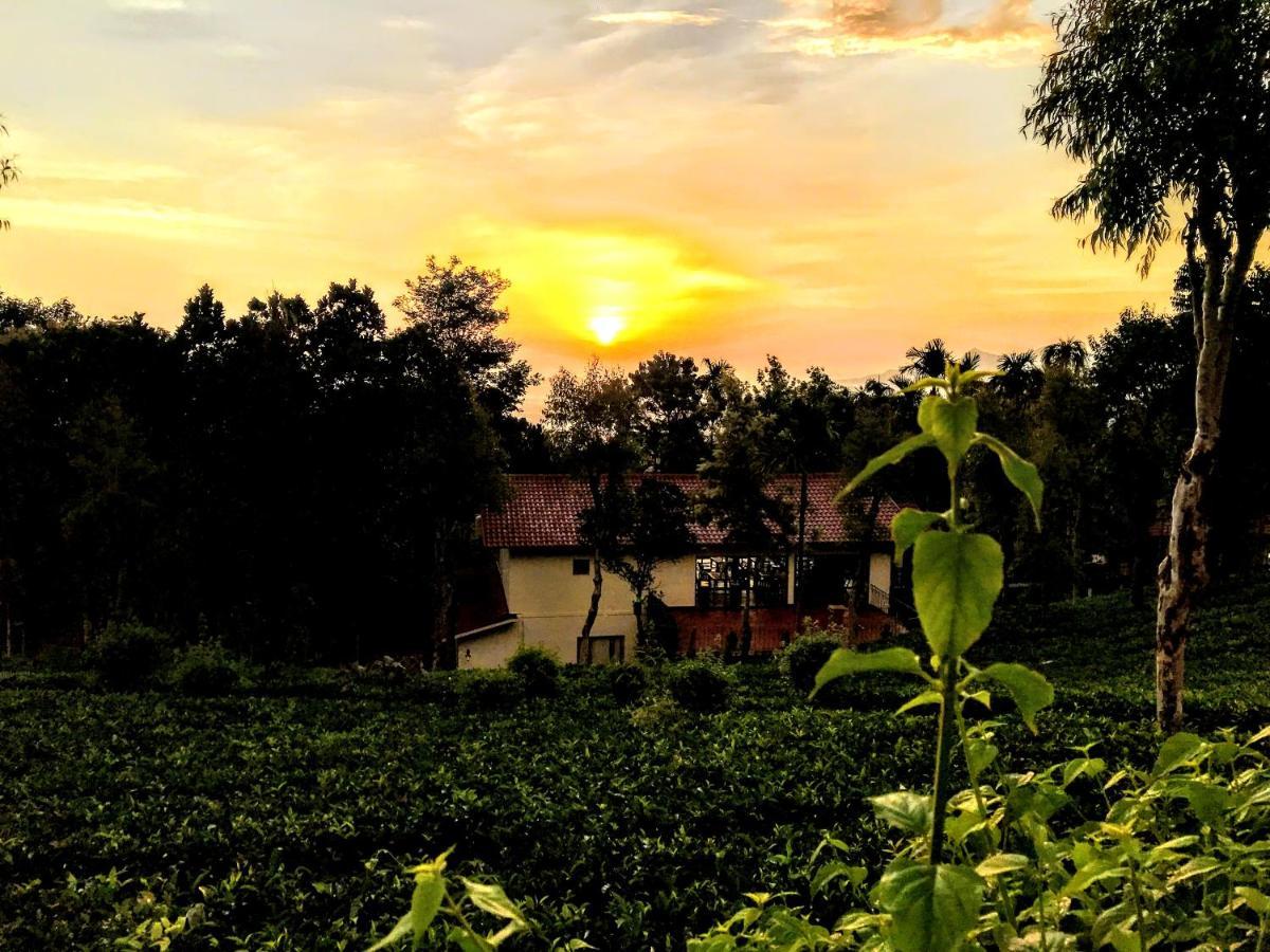 Tea Terrace Vythiri Hotell Wayanad Eksteriør bilde