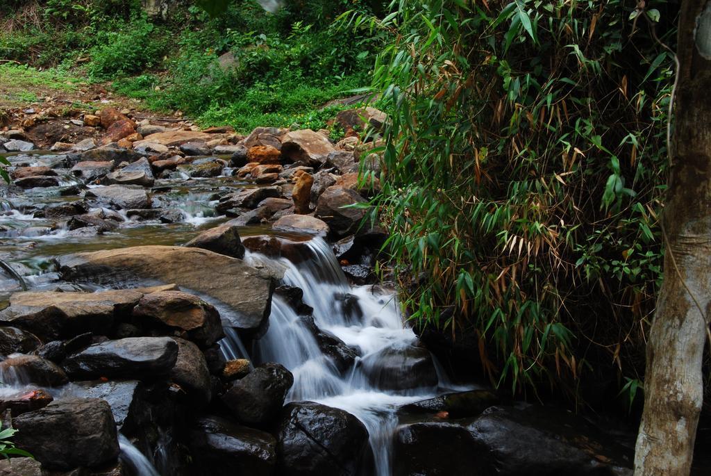 Tea Terrace Vythiri Hotell Wayanad Eksteriør bilde