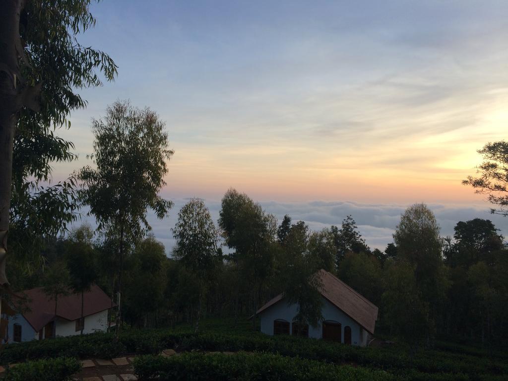Tea Terrace Vythiri Hotell Wayanad Eksteriør bilde
