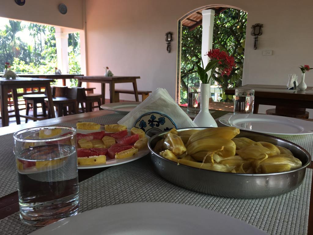 Tea Terrace Vythiri Hotell Wayanad Eksteriør bilde
